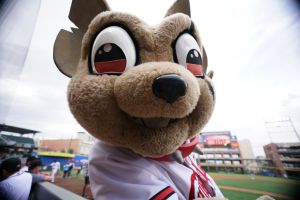 Chihuahuas vs. Las Vegas