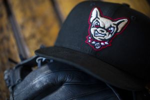 Chihuahuas vs. Albuquerque Isotopes