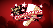 Chihuahuas Cheer & Dance Competition