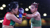 Bouts at the Ballpark presented by Cesar Ornelas Injury Law Cancelled