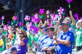 Alzheimer's Walk 2014